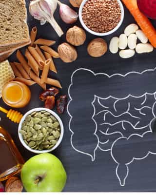 Saúde Intestinal: porque é tão importante para todo o corpo