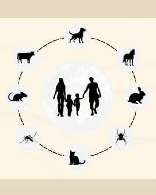 Zoonoses: Prevenir para Proteger!