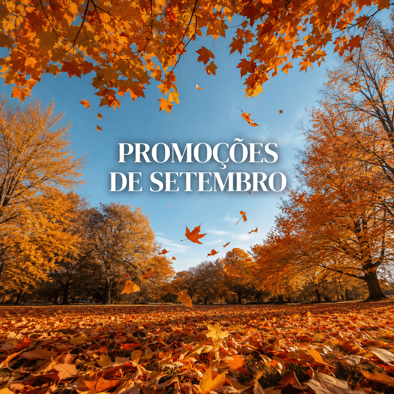 Campanhas de Setembro 🍂🍁