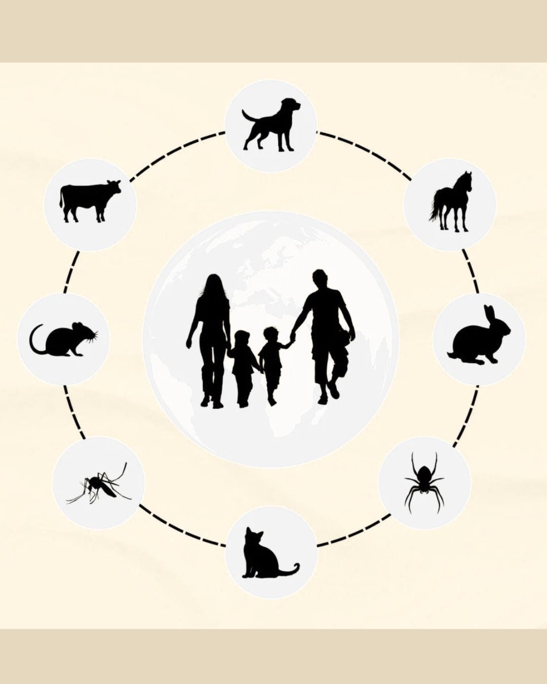 Zoonoses: Prevenir para Proteger!