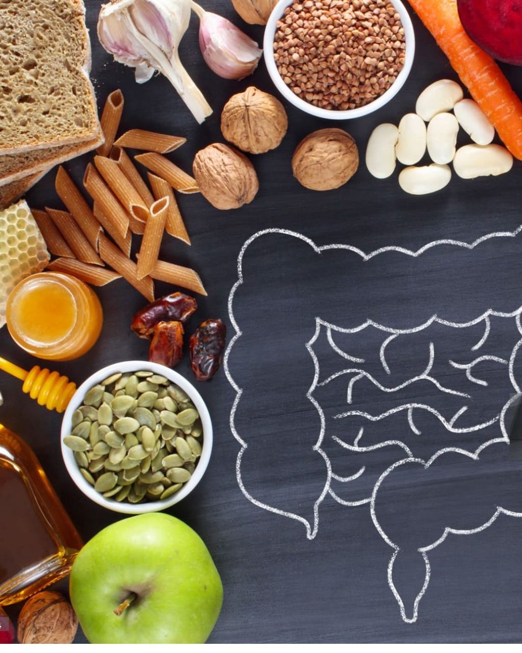 Saúde Intestinal: porque é tão importante para todo o corpo