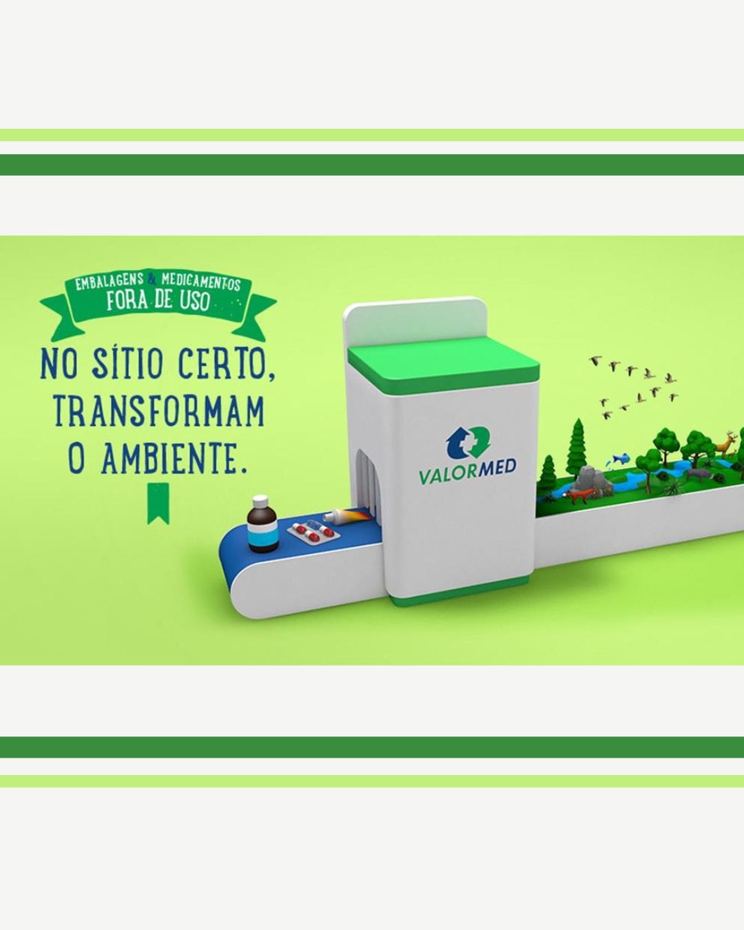 🌍 Dia Mundial do Ambiente: Pequenas escolhas, grande impacto